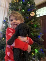 processed/9cf9d34a-7723-447d-9661-b21c42444917/listing/e547b209-6f2f-49b7-b109-c76511ed5ed6/62daf9f8-4815-4667-9518-bef527245495