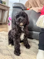 processed/9cf9d34a-7723-447d-9661-b21c42444917/listing/e547b209-6f2f-49b7-b109-c76511ed5ed6/6906e4ea-8a0f-4ec1-9679-a899434c0bca