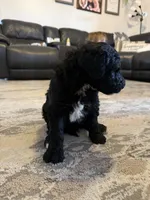 processed/9cf9d34a-7723-447d-9661-b21c42444917/listing/e547b209-6f2f-49b7-b109-c76511ed5ed6/71d506f8-4291-4a4f-b57c-04b8978c98d8