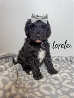 processed/9cf9d34a-7723-447d-9661-b21c42444917/listing/e547b209-6f2f-49b7-b109-c76511ed5ed6/8503cb84-c4ff-43f6-b779-72ec5e9ca1b4