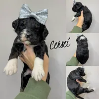 processed/9cf9d34a-7723-447d-9661-b21c42444917/listing/eaee8b61-186d-4427-98dc-aaf2a57e228d/8bd412b8-9e97-4645-bac5-a6a34c858844