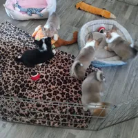 processed/9cfc1512-864e-45f4-9468-a465eb0949eb/facility/0b3cb9c6-96c6-4818-9665-85b93751591b