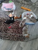 processed/9cfc1512-864e-45f4-9468-a465eb0949eb/facility/0b3cb9c6-96c6-4818-9665-85b93751591b