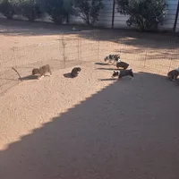 processed/9cfc1512-864e-45f4-9468-a465eb0949eb/facility/4b1a0402-7c5b-41bb-a871-72121c4b09e8