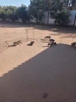 processed/9cfc1512-864e-45f4-9468-a465eb0949eb/facility/4b1a0402-7c5b-41bb-a871-72121c4b09e8