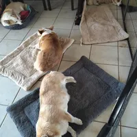 processed/9cfc1512-864e-45f4-9468-a465eb0949eb/facility/ec8cd894-ac9e-4f47-9309-64abf7f7167f