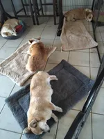 processed/9cfc1512-864e-45f4-9468-a465eb0949eb/facility/ec8cd894-ac9e-4f47-9309-64abf7f7167f