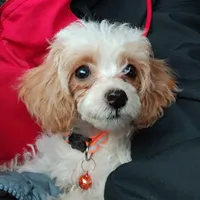 processed/9d07f616-b34f-44dd-8df2-a7db420d142c/facility/17937b86-1336-4c5d-830b-76348ea92475