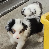 processed/9d07f616-b34f-44dd-8df2-a7db420d142c/facility/25a26cae-cd80-4022-bf8d-017aa87071eb