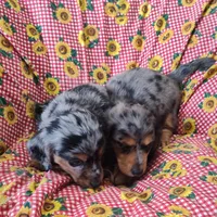 processed/9d07f616-b34f-44dd-8df2-a7db420d142c/facility/675ac06a-0ce3-4892-9e4f-912561b4ad7d