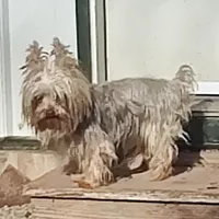 processed/9d07f616-b34f-44dd-8df2-a7db420d142c/facility/7443c3a8-70cf-41b7-a2a5-b2ece8fe67a8