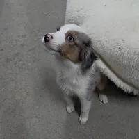 processed/9d07f616-b34f-44dd-8df2-a7db420d142c/facility/8fe0be8b-3920-4034-a150-d777507c4ced