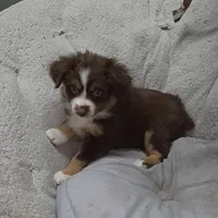 processed/9d07f616-b34f-44dd-8df2-a7db420d142c/facility/98774bfd-bb68-4f55-93f4-0c5127a02ce1