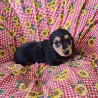 processed/9d07f616-b34f-44dd-8df2-a7db420d142c/facility/a18d35f0-9cb7-4c98-a7cf-8f5330d5ae65