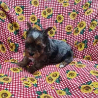 processed/9d07f616-b34f-44dd-8df2-a7db420d142c/facility/fc1ca1ef-9b16-471a-b2f1-dfb1247cc490