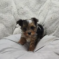 processed/9d07f616-b34f-44dd-8df2-a7db420d142c/facility/fdc8939b-22a7-4191-85b4-ea17f8d3f61d