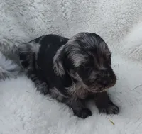 processed/9d07f616-b34f-44dd-8df2-a7db420d142c/listing/01f715f3-f44a-4347-b316-f1b0940128df/01b1fcbf-cd8b-4781-88a9-1b9591912603