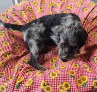 processed/9d07f616-b34f-44dd-8df2-a7db420d142c/listing/01f715f3-f44a-4347-b316-f1b0940128df/3cfa05ef-63df-4556-9679-bdfac9f84def