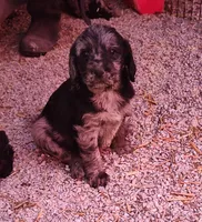 processed/9d07f616-b34f-44dd-8df2-a7db420d142c/listing/01f715f3-f44a-4347-b316-f1b0940128df/961b6588-2b5e-416a-ac3b-a238fa6a4f76