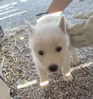 processed/9d07f616-b34f-44dd-8df2-a7db420d142c/listing/0be24249-aacd-49b1-992a-101562451c20/1b138cda-717c-4656-908a-96d357ea95af