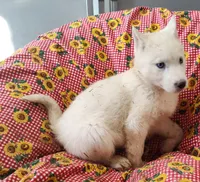 processed/9d07f616-b34f-44dd-8df2-a7db420d142c/listing/0be24249-aacd-49b1-992a-101562451c20/5c44f002-e2d9-4a99-b367-e98069f8ec4e