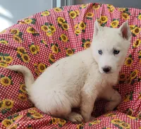 processed/9d07f616-b34f-44dd-8df2-a7db420d142c/listing/0be24249-aacd-49b1-992a-101562451c20/5fa90f79-fb74-49b7-978e-1eca3b72f9b3