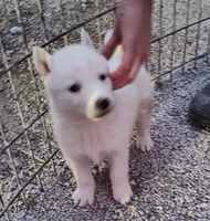 processed/9d07f616-b34f-44dd-8df2-a7db420d142c/listing/0be24249-aacd-49b1-992a-101562451c20/ba074204-03e2-4fd2-88e1-5df5da5649ed