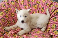 processed/9d07f616-b34f-44dd-8df2-a7db420d142c/listing/24fb5974-be32-4f5d-ae2e-10f5cdf60ea2/7e713f8f-5270-487e-85ef-8bc8b6fcb119