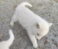 processed/9d07f616-b34f-44dd-8df2-a7db420d142c/listing/24fb5974-be32-4f5d-ae2e-10f5cdf60ea2/84ea4e55-f766-46e7-9c2e-185312a497de