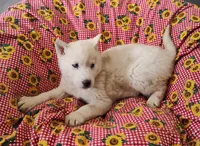 processed/9d07f616-b34f-44dd-8df2-a7db420d142c/listing/24fb5974-be32-4f5d-ae2e-10f5cdf60ea2/ab530fdc-65ea-4cb7-823e-e5c340d74004