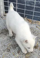 processed/9d07f616-b34f-44dd-8df2-a7db420d142c/listing/24fb5974-be32-4f5d-ae2e-10f5cdf60ea2/c031d191-69ec-4193-9dea-31bd50fb362d