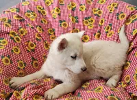 processed/9d07f616-b34f-44dd-8df2-a7db420d142c/listing/24fb5974-be32-4f5d-ae2e-10f5cdf60ea2/e82d4cc0-6f95-4e52-b0cc-313cb129d1de