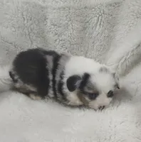 processed/9d07f616-b34f-44dd-8df2-a7db420d142c/listing/3e2e7d6c-77a5-482f-a314-7d1aef9a7f69/1e2a4474-d928-4db8-b3cc-db831e62d07b