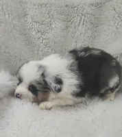 processed/9d07f616-b34f-44dd-8df2-a7db420d142c/listing/3e2e7d6c-77a5-482f-a314-7d1aef9a7f69/6139f1ae-f19a-44c9-acd7-5eb73a9fee44