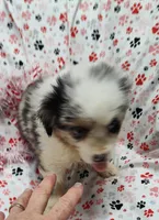 processed/9d07f616-b34f-44dd-8df2-a7db420d142c/listing/3e2e7d6c-77a5-482f-a314-7d1aef9a7f69/6cdfd829-eded-4db8-a7e0-74f7a55001be