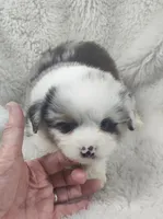 processed/9d07f616-b34f-44dd-8df2-a7db420d142c/listing/3e2e7d6c-77a5-482f-a314-7d1aef9a7f69/8bcc42df-9ab1-4f7d-bba0-c3dc57a67bac