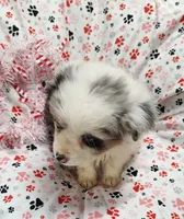 processed/9d07f616-b34f-44dd-8df2-a7db420d142c/listing/3e2e7d6c-77a5-482f-a314-7d1aef9a7f69/f8d0ffab-771d-4c43-8176-2de6d7a6c6b2