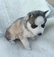 processed/9d07f616-b34f-44dd-8df2-a7db420d142c/listing/4c30d83b-0a31-46e0-b141-1afd438f8816/0416b760-43f4-42d2-a02b-31cf0b433dd1