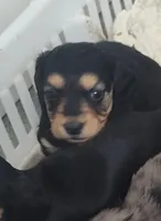 processed/9d07f616-b34f-44dd-8df2-a7db420d142c/listing/747c3118-c1f3-4b92-9552-3f44b7572500/082a3d3c-d8f5-4be2-b278-42a3180397bb