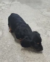 processed/9d07f616-b34f-44dd-8df2-a7db420d142c/listing/747c3118-c1f3-4b92-9552-3f44b7572500/11d7159c-758e-4493-b540-3bb64e4b0637