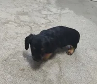 processed/9d07f616-b34f-44dd-8df2-a7db420d142c/listing/747c3118-c1f3-4b92-9552-3f44b7572500/262fa19d-7939-4361-b107-aeefe6961b20