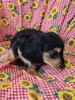 processed/9d07f616-b34f-44dd-8df2-a7db420d142c/listing/747c3118-c1f3-4b92-9552-3f44b7572500/31053e94-d81e-49de-9d04-95fc81fed27e