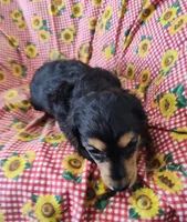 processed/9d07f616-b34f-44dd-8df2-a7db420d142c/listing/747c3118-c1f3-4b92-9552-3f44b7572500/a5a30594-6249-4a72-84ef-9ce83dd187cf