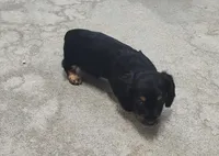 processed/9d07f616-b34f-44dd-8df2-a7db420d142c/listing/747c3118-c1f3-4b92-9552-3f44b7572500/ca99951b-ba63-462e-8259-9ef39fbaf0a4