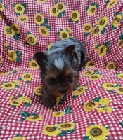 processed/9d07f616-b34f-44dd-8df2-a7db420d142c/listing/7f458e5b-ccff-4bb3-80d3-0544dca3e2ff/1c52c535-c0d2-478e-8c1a-a41528d55287