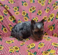 processed/9d07f616-b34f-44dd-8df2-a7db420d142c/listing/7f458e5b-ccff-4bb3-80d3-0544dca3e2ff/6d747c5e-24d9-4da6-a5f7-85f8d40f24ac