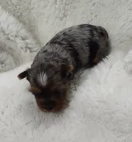 processed/9d07f616-b34f-44dd-8df2-a7db420d142c/listing/7f458e5b-ccff-4bb3-80d3-0544dca3e2ff/9a7de090-29b5-4c04-b2f8-27fe1ca72441