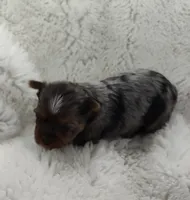 processed/9d07f616-b34f-44dd-8df2-a7db420d142c/listing/7f458e5b-ccff-4bb3-80d3-0544dca3e2ff/cac08cde-1bc3-42a5-97bd-bb2c04b4e484