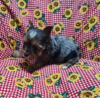 processed/9d07f616-b34f-44dd-8df2-a7db420d142c/listing/7f458e5b-ccff-4bb3-80d3-0544dca3e2ff/d70206ac-7ed5-453b-9d1c-897b01adc332