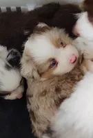 processed/9d07f616-b34f-44dd-8df2-a7db420d142c/listing/937f9f27-a019-4ca3-aafc-72ffe65b2259/3a7a0d2e-352c-4c5c-8b16-08c0d3204c61